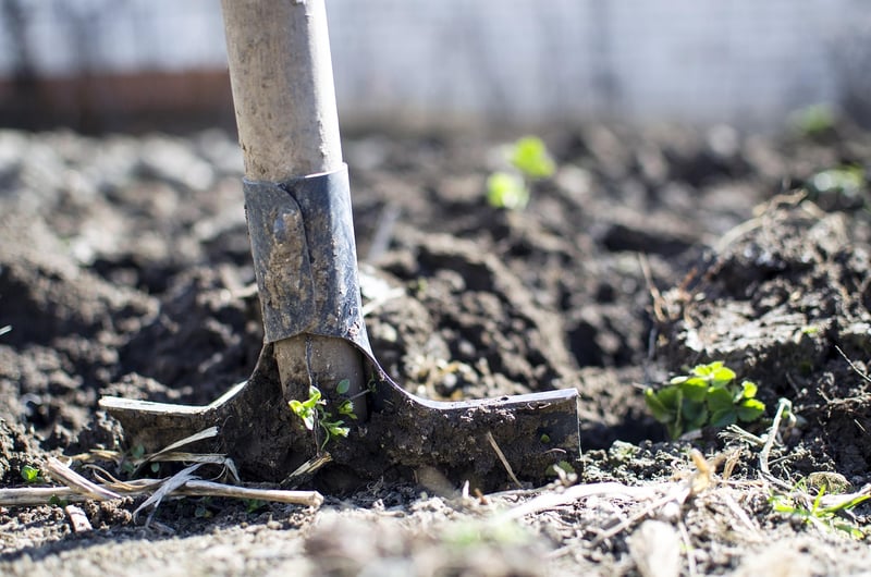 Garden Maintenance